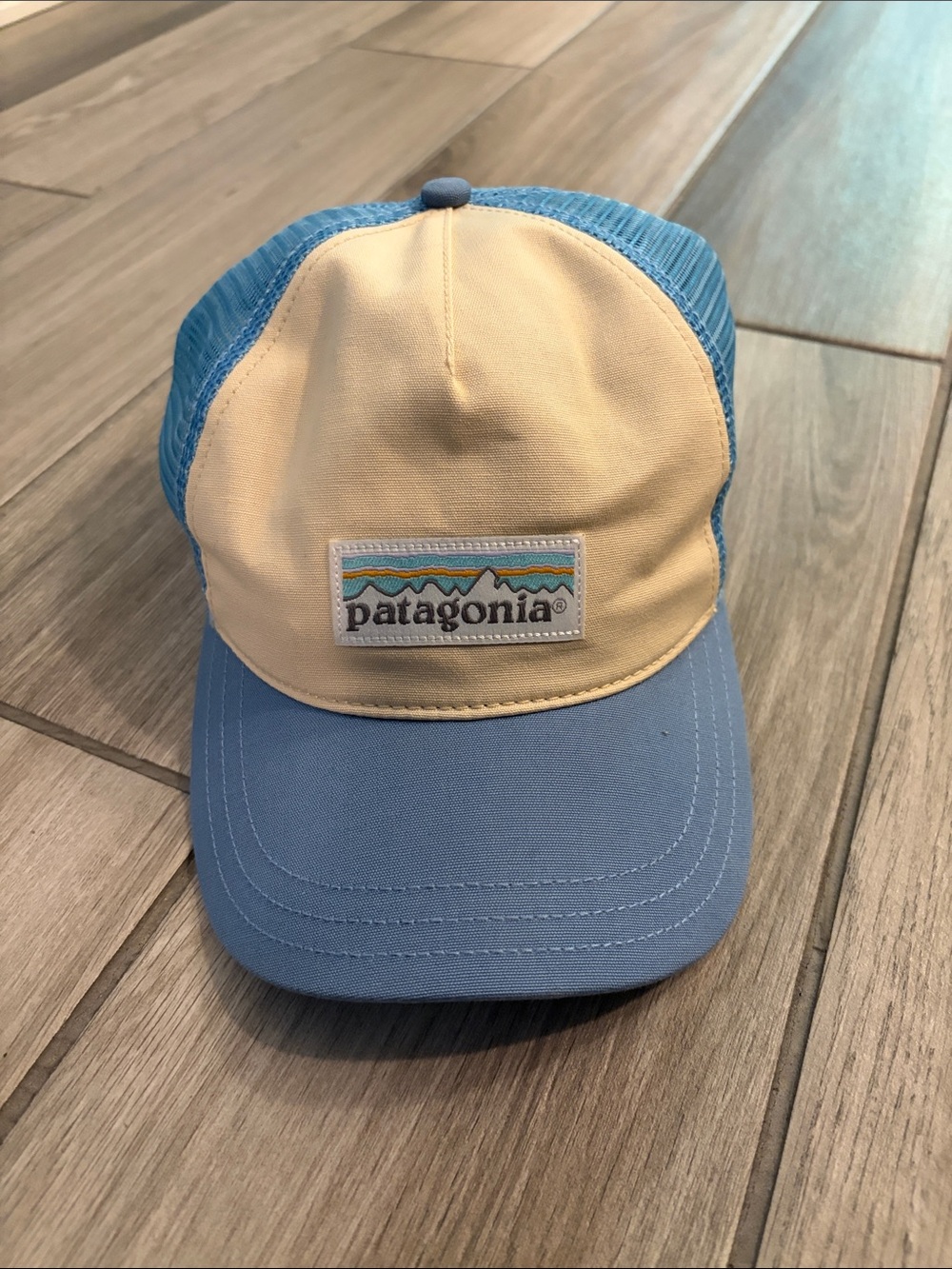 Patagonia Beige, Blue & Light Blue Trucker Hat